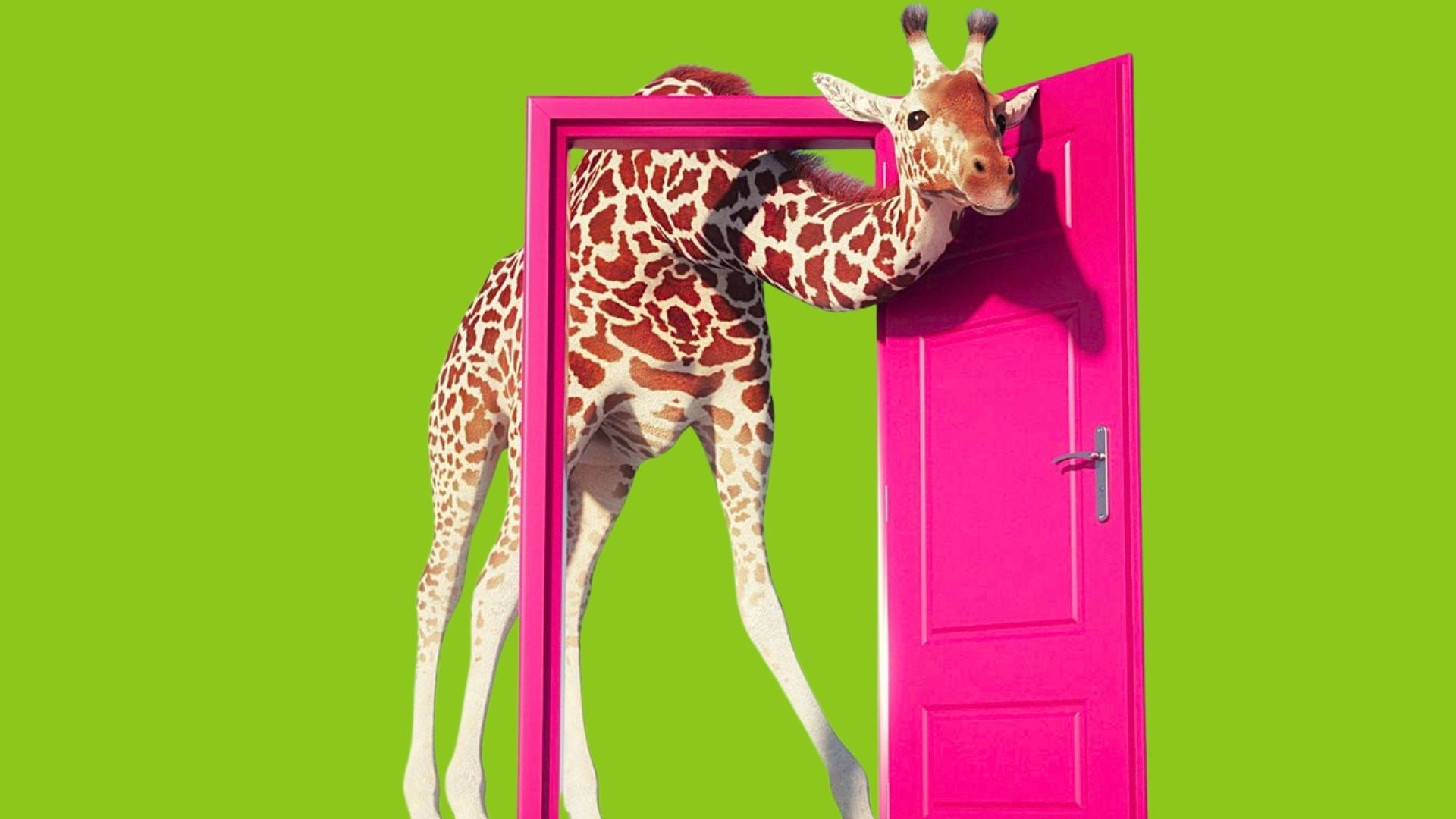 Why Fitting In Is Out: The Rise of the Nonlinear Life