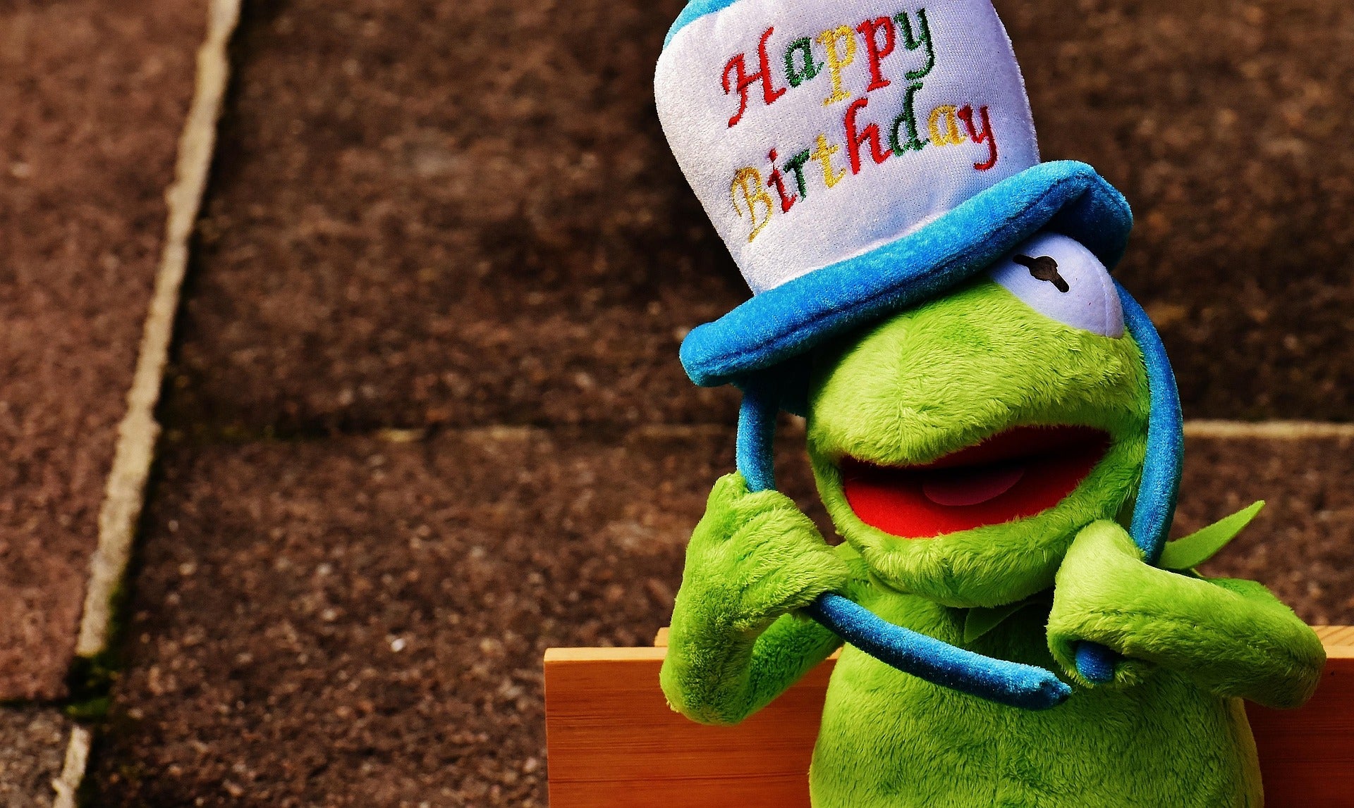 Birthday Gift Card featuring a green puppet wearing a colorful Happy Birthday hat on a wooden bench.